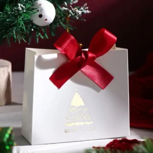 R-24-00001_5 Bolsa de regalo navideña
